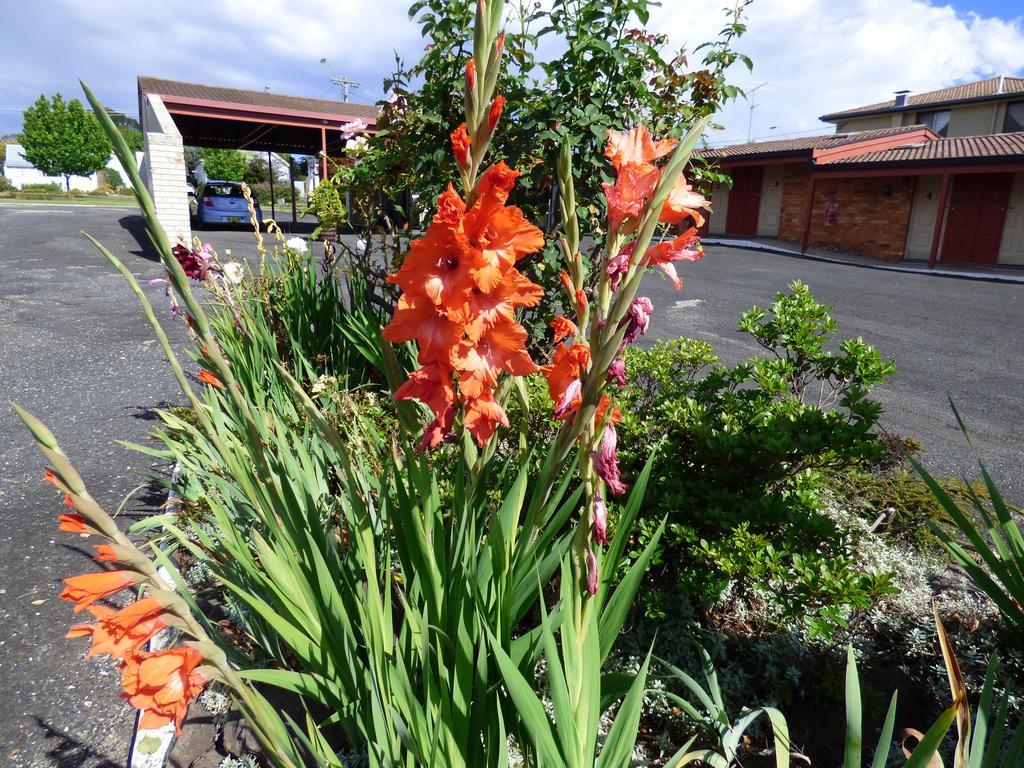 Anna Bella Motel Glen Innes Quarto foto
